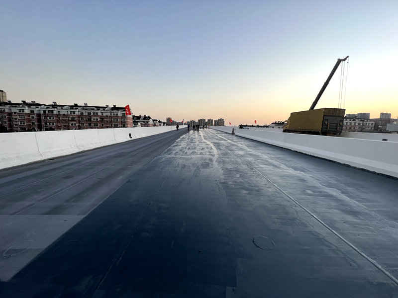 郎溪路(裕溪路-明皇路)工程一标:奋战东城再提速 奋楫扬帆启新程 (5)